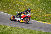 anglesey-no-limits-trackday;anglesey-photographs;anglesey-trackday-photographs;enduro-digital-images;event-digital-images;eventdigitalimages;no-limits-trackdays;peter-wileman-photography;racing-digital-images;trac-mon;trackday-digital-images;trackday-photos;ty-croes
